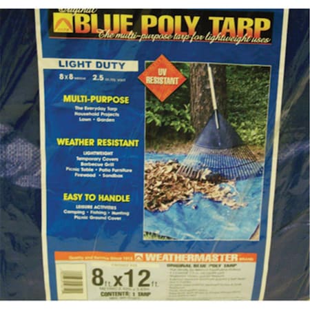 Dize 8 ft x 12 ft Tarp, Blue 117677